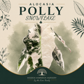 Alocasia 'Polly Snowflake' | Tissue Culture